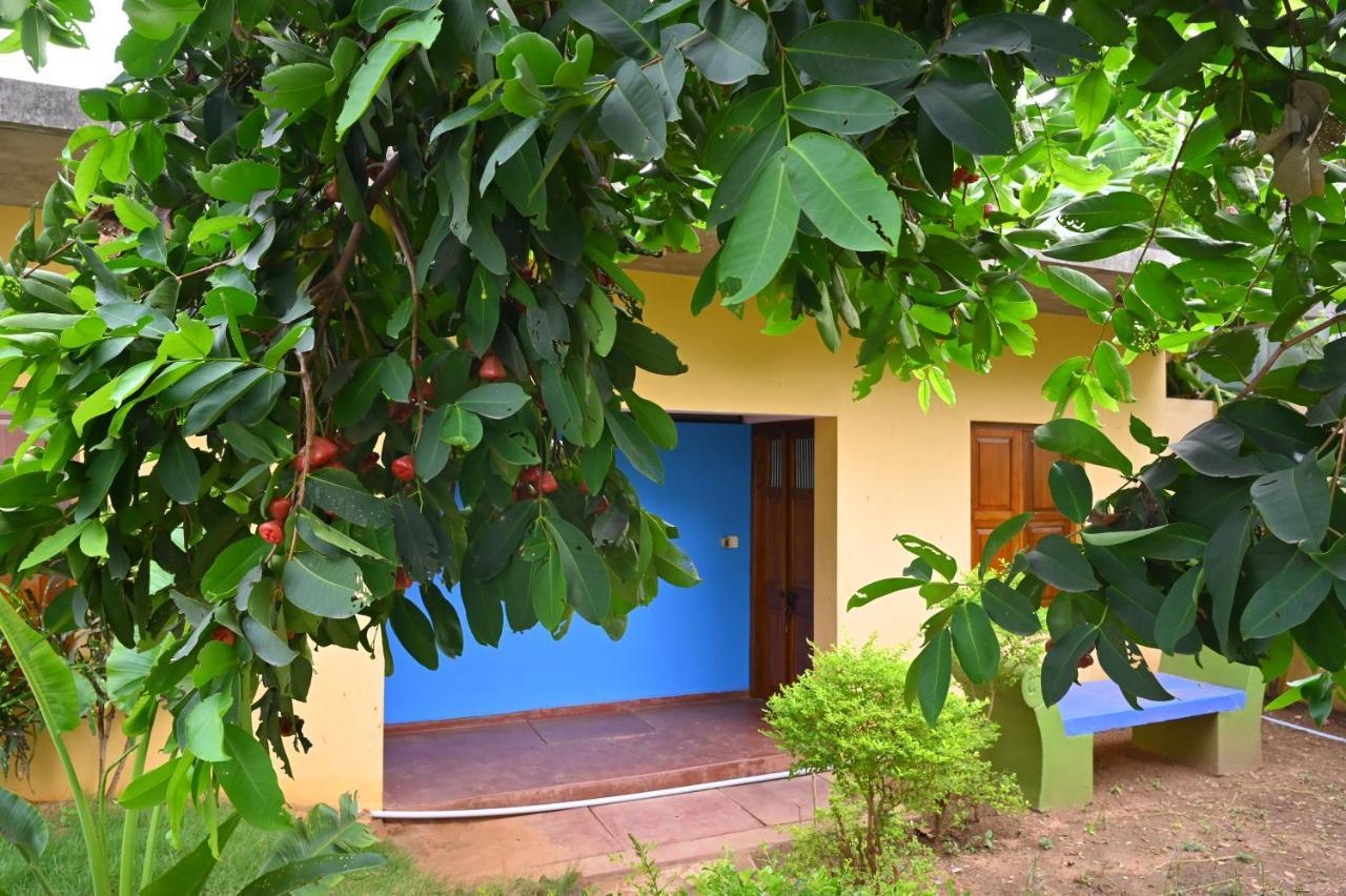 Les Boganveillea Heritage Guest House Auroville Extérieur photo